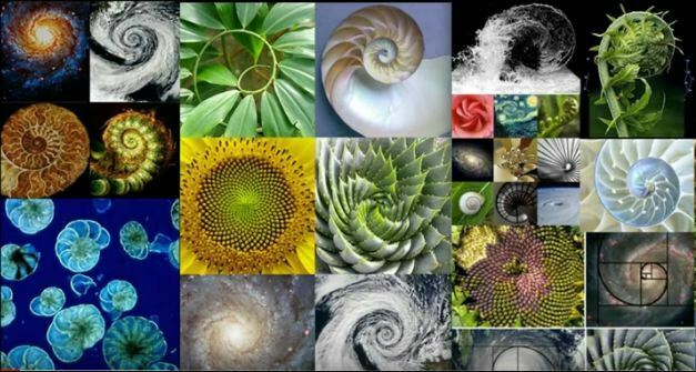 números de Fibonacci