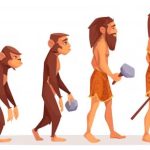 ¿QUÉ ES LA EVOLUCIÓN HUMANA? - ETAPAS DE LA EVOLUCIÓN HUMANA