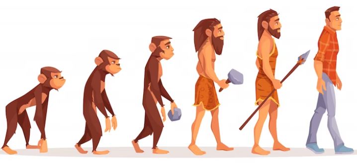 ¿QUÉ ES LA EVOLUCIÓN HUMANA? - ETAPAS DE LA EVOLUCIÓN HUMANA
