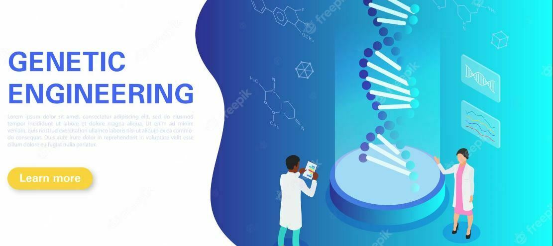 ¿Qué es la ingeniería genética: qué estudia y para qué sirve?